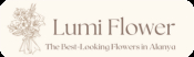 Lumi Flower